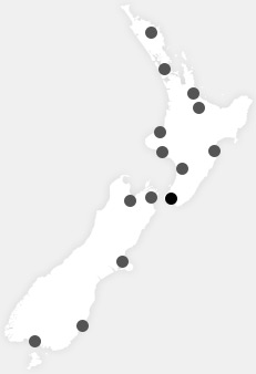 New Zealand Hair Consultants New Zealand Hair Consultants